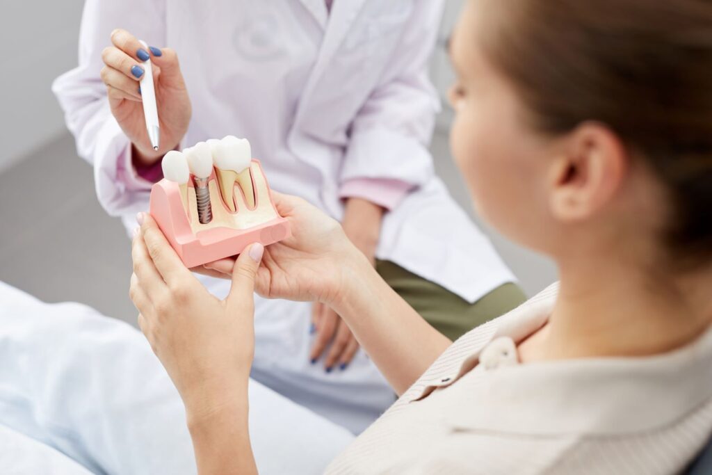 A dentist showing a woman a model of a jaw with dental implants.